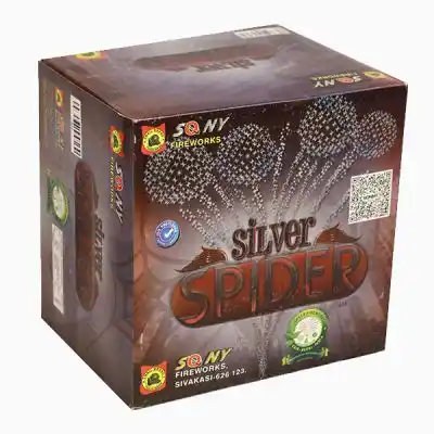 Silver Spider