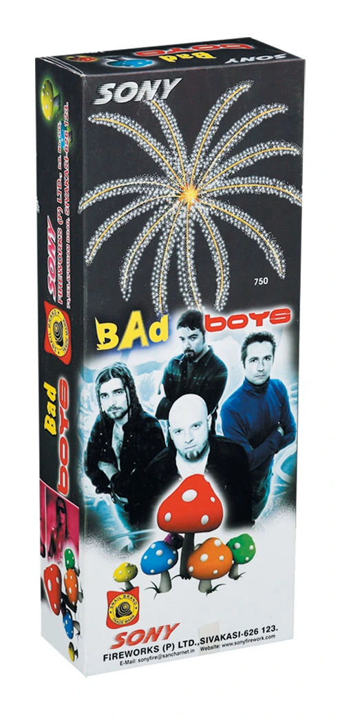 Bad Boy