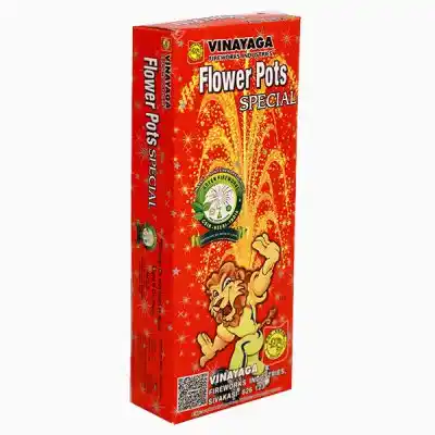 Flower Pots Special (10 Pcs)